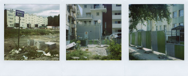 triptyque polaroid de Dominique Cartelier