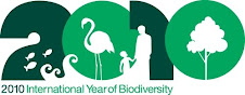 Ano Internacional da Biodiversidade