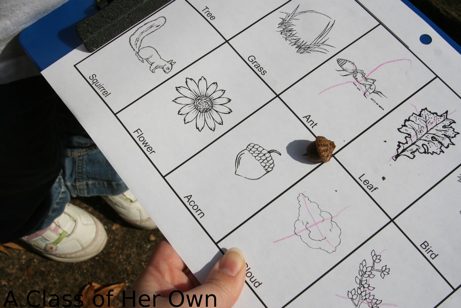 classofherown: November 2010