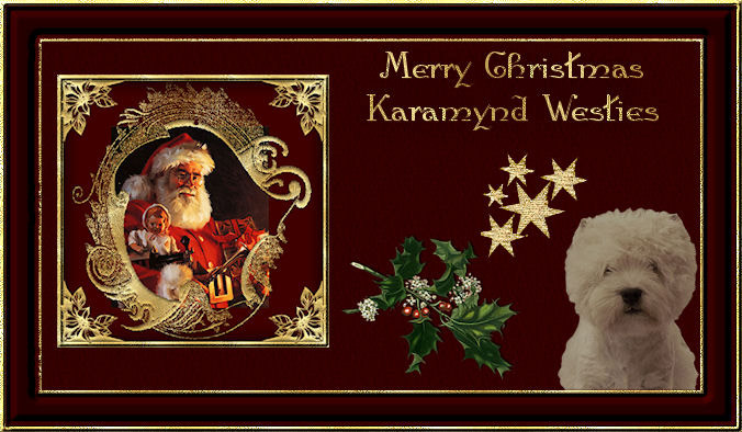 Braveheart's Westies: Danke für die lieben Weihnachtsgrüße