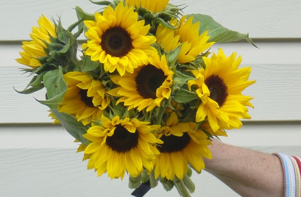 Whimsical Welcomes Floral Design: Kara & Kurt - Sunflowers Galore