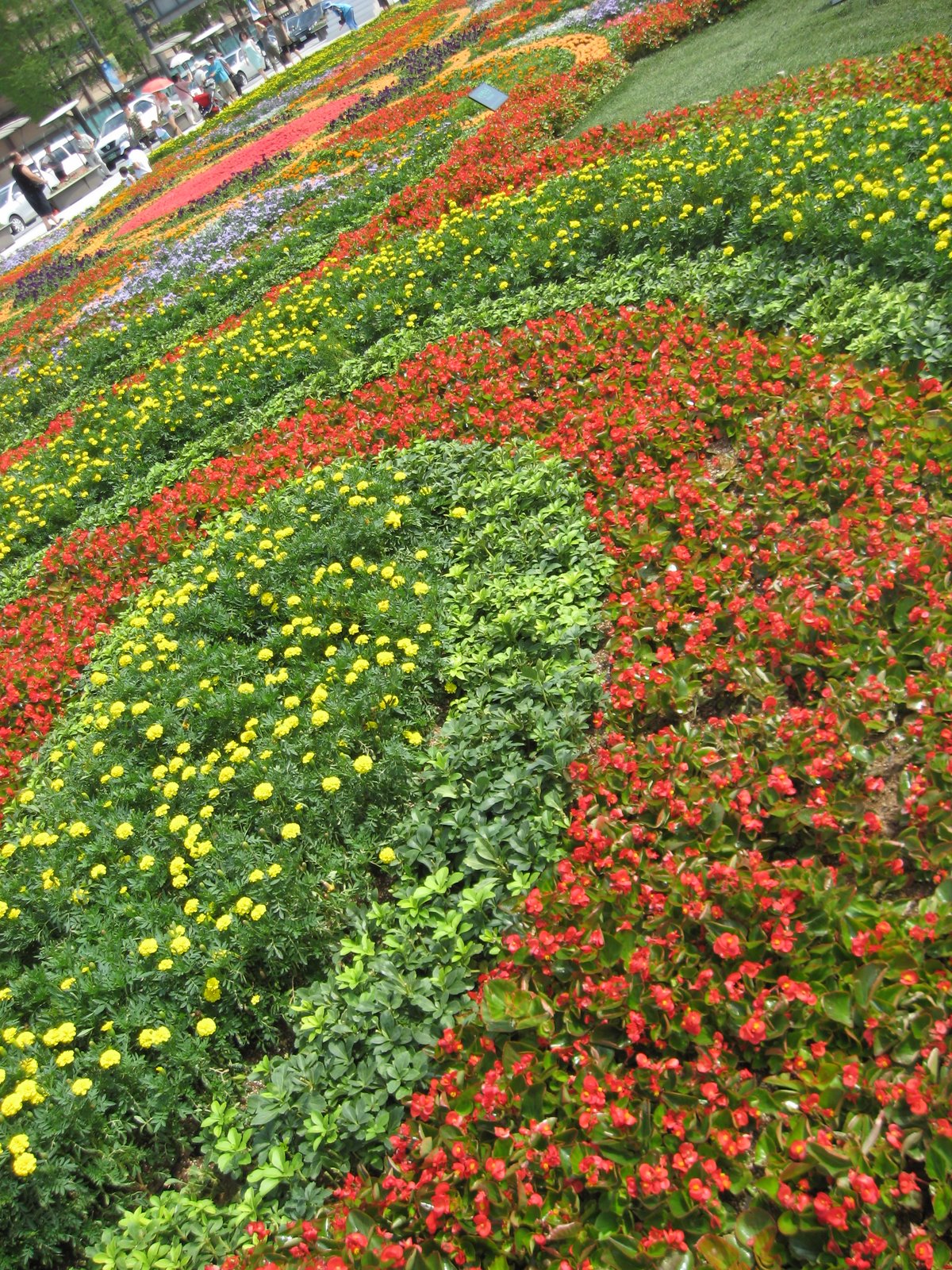 [IMG_2455.JPG]