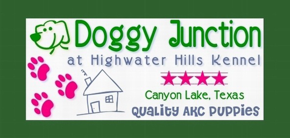 OUR DOG BLOG - DOGGY JUNCTION KENNEL at Highwater Hills, Canyon Lake, TX
