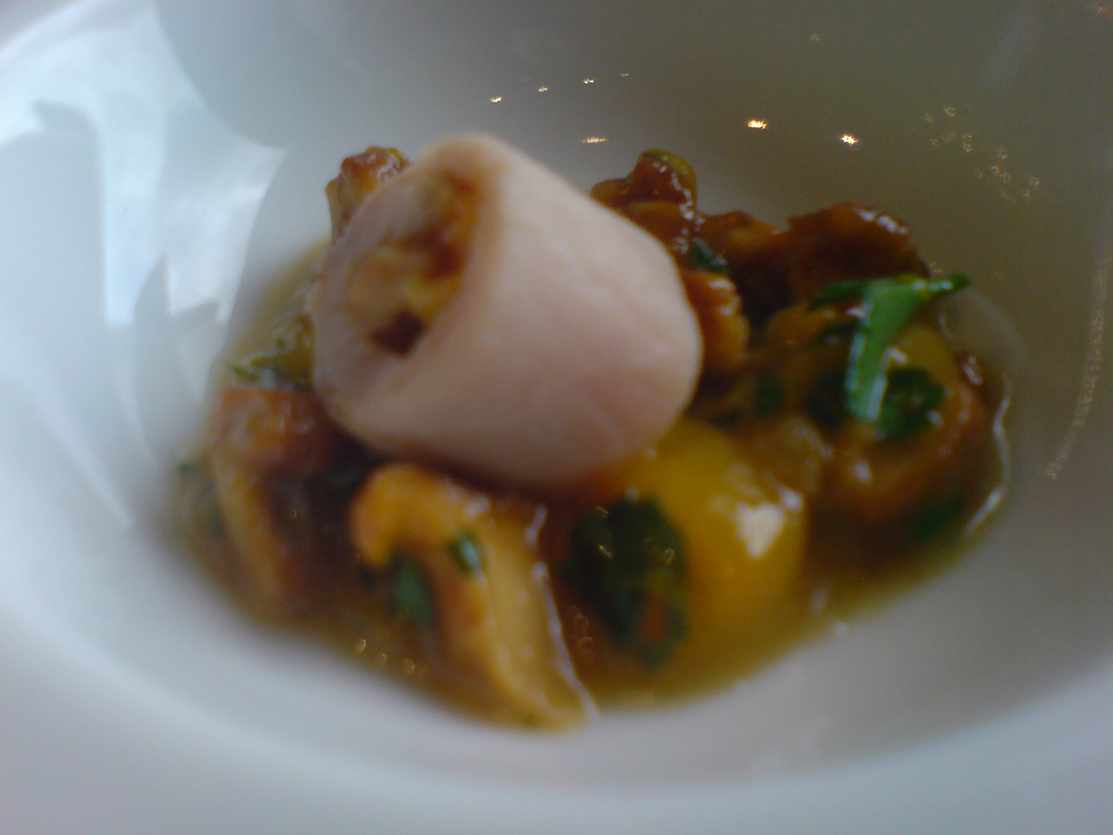 [DSC00867.JPG]