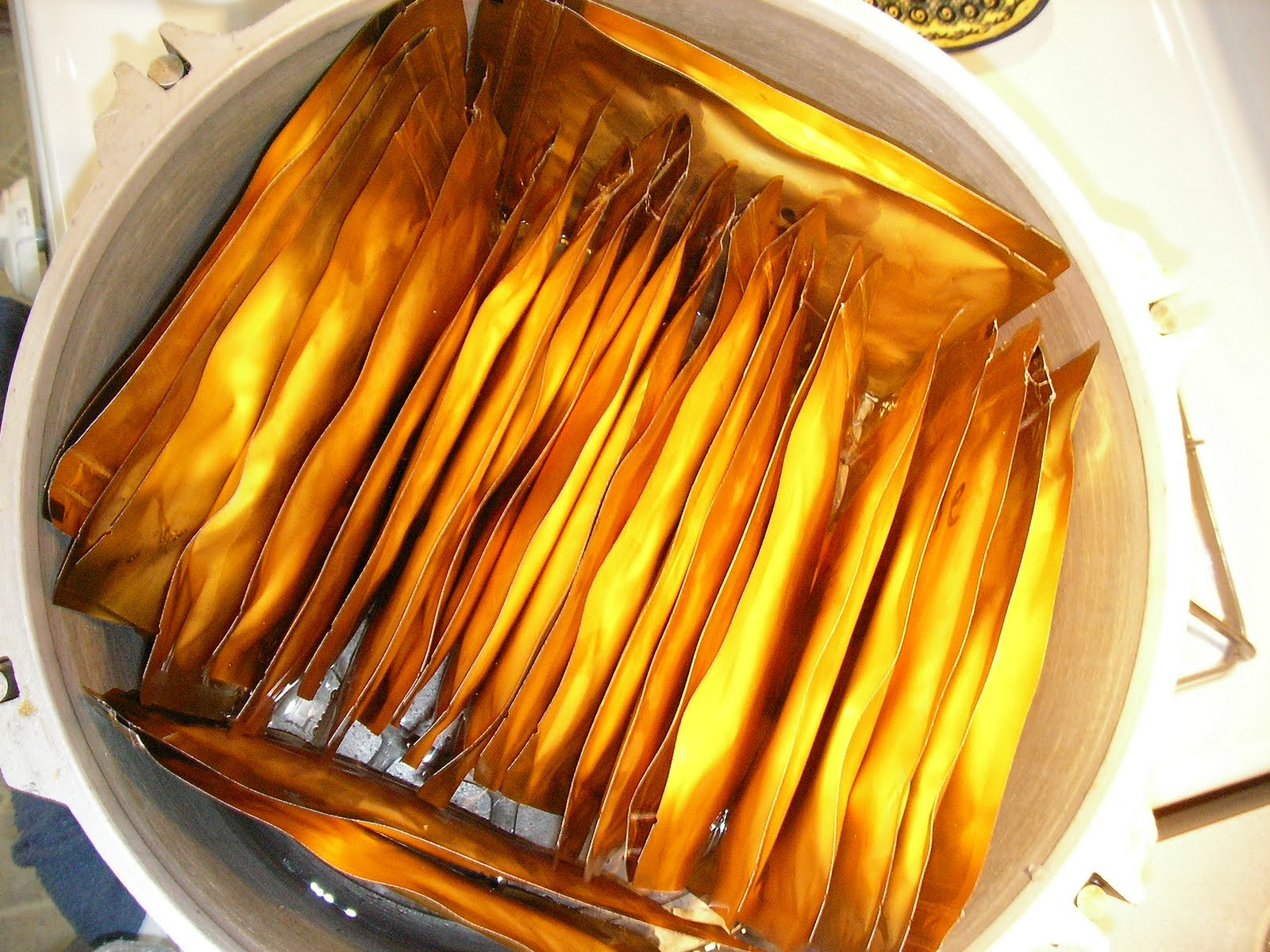 Vacuum Packer and Cryovac Vacuum Sealing By PMG Retort Canning and My