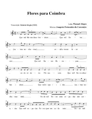 GUITARRA COM CO guitarra com co:
