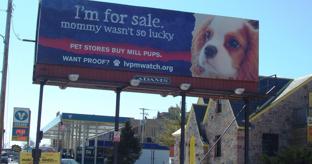 Animal Lover List of Puppy Mills, by state