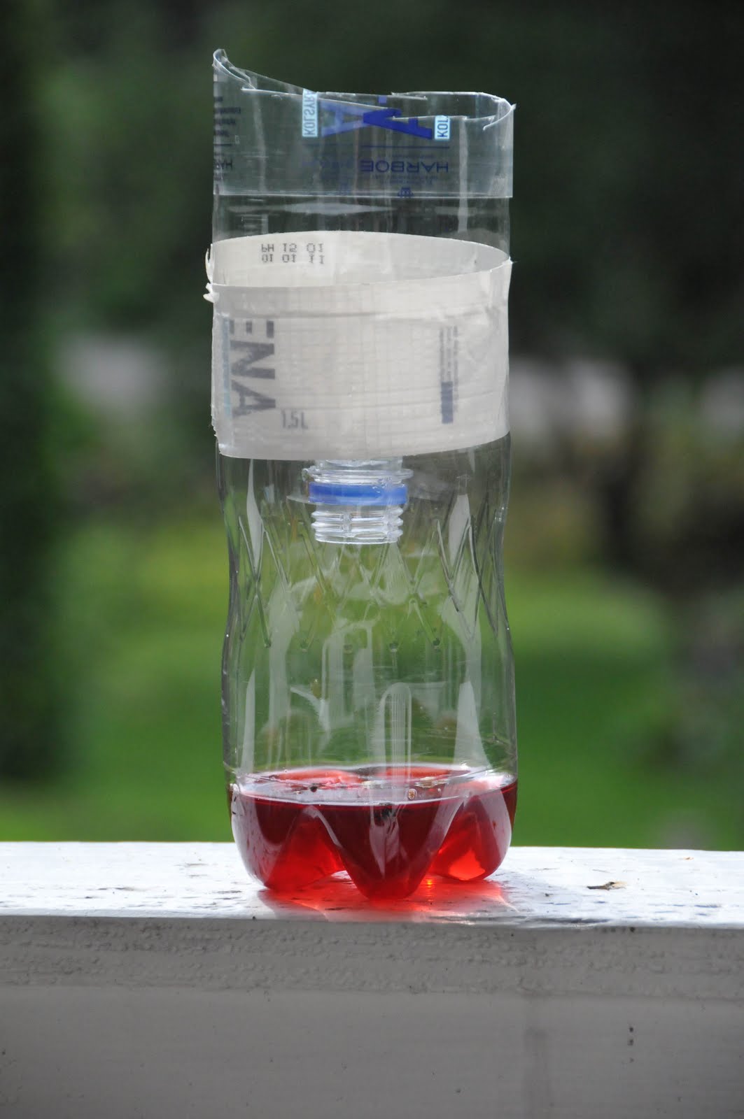 Svångemåla News Wasp / trap