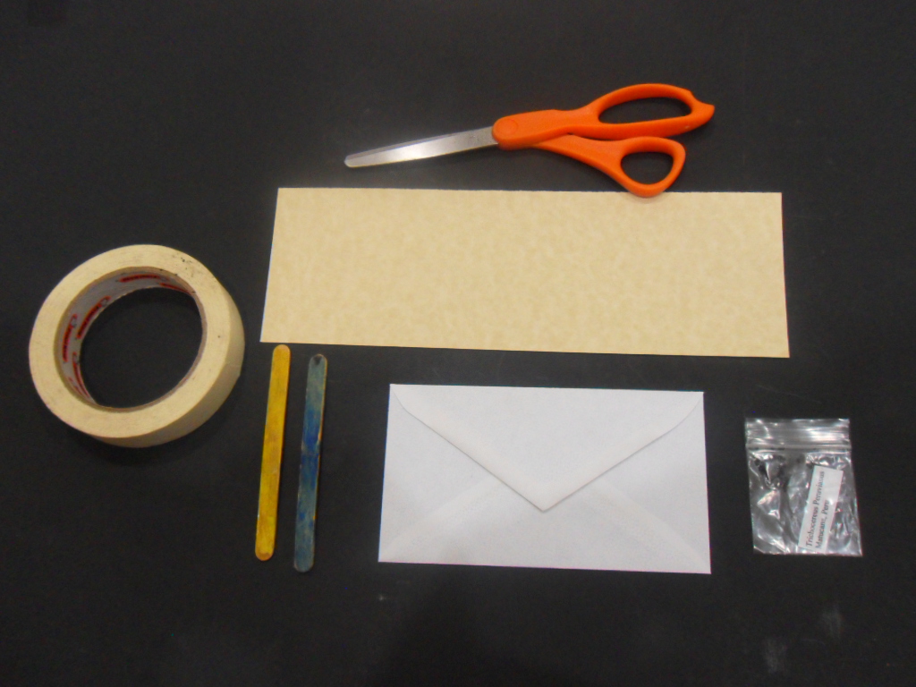 World Seed Cultivation Database How to Send Seeds Safely Through the