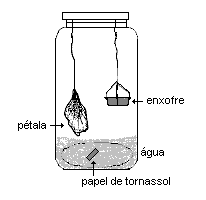 [prova2_p1_4.png]