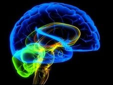 [impacto+cerebro.jpg]