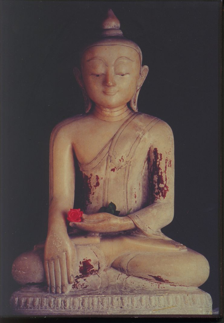 [buda.jpg]