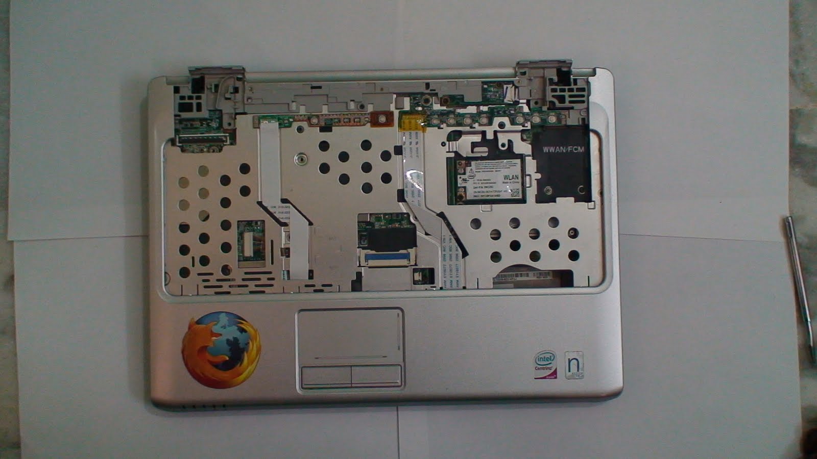 [DSC01954.JPG]