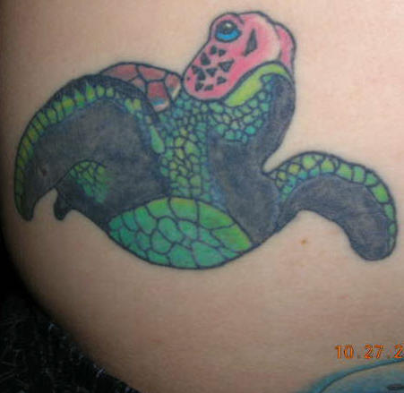 Size:300x225 - 21k: Sea Turtle Tattoo Ville Valo on English Program Tv its