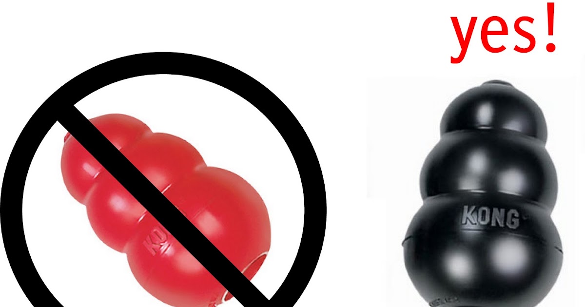 The Adventures of Two Pitbulls Toy Review Kong by Kong Co.