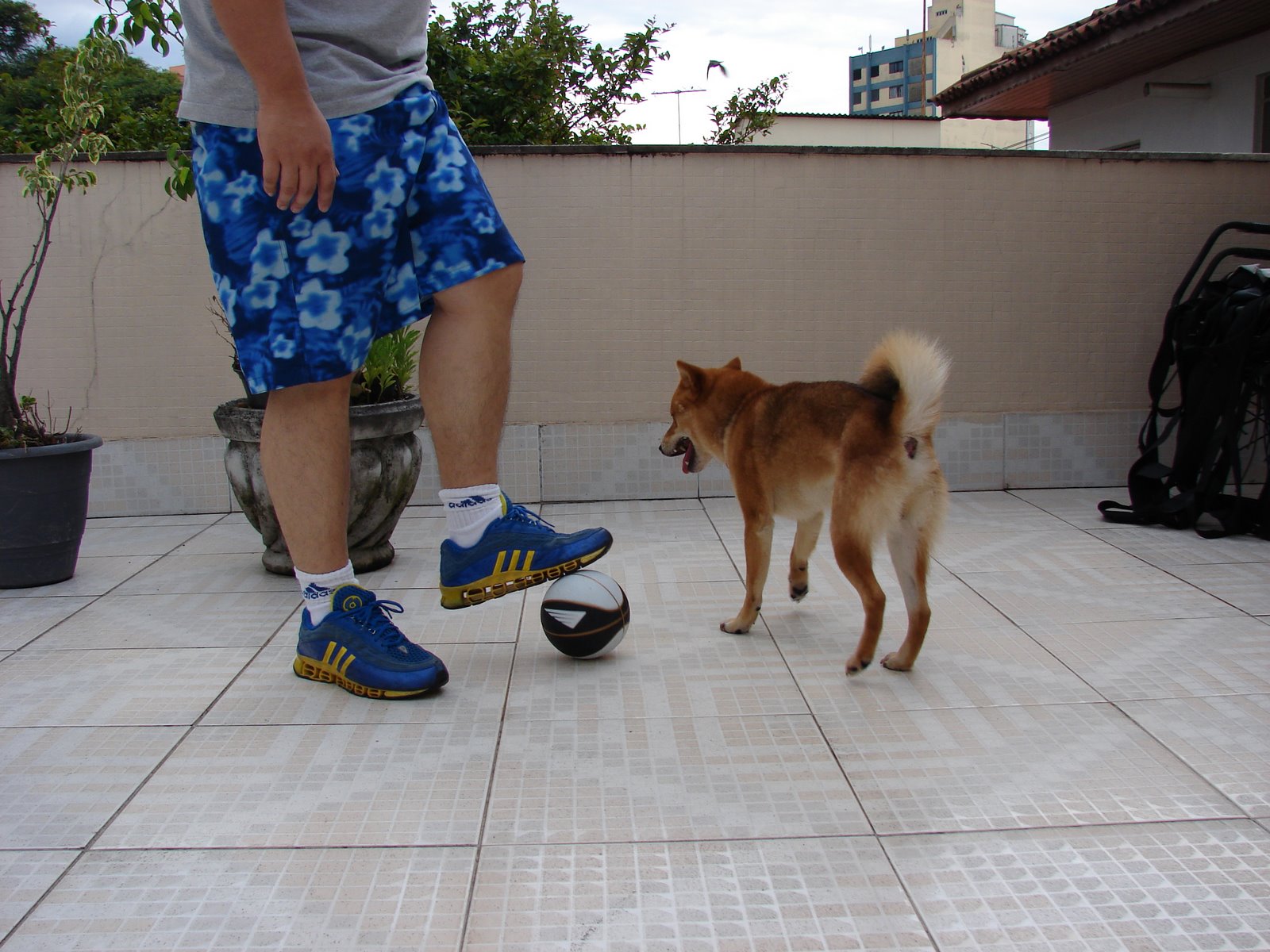 [DSC00985.JPG]