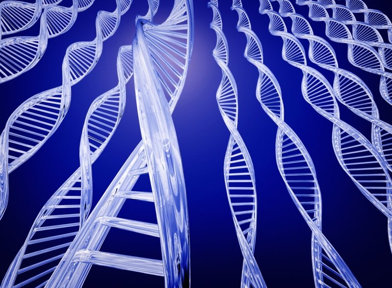 [dna.bmp]