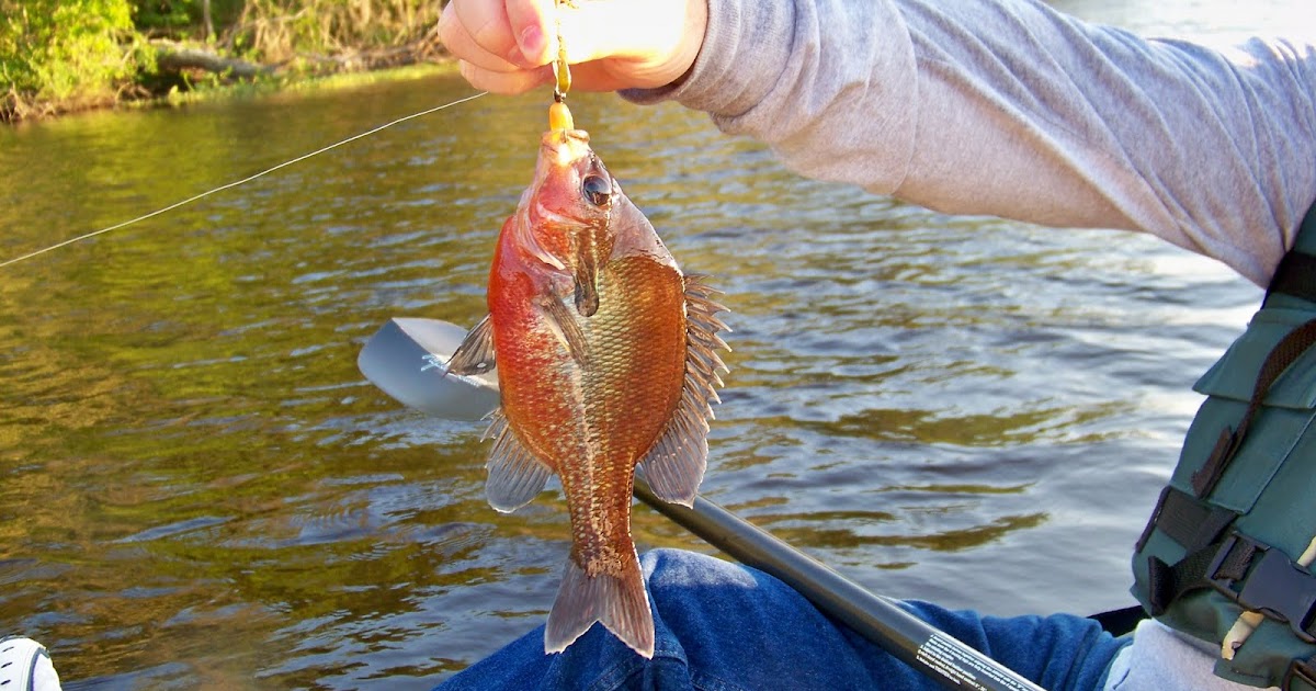 SOUTH KAYAK FISHING Jacksonville St. John River Pacetti's