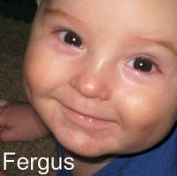 Baby Fergus