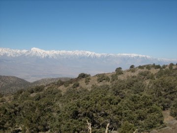 [IMG_2066.jpg]