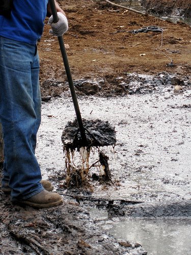 Chevron's Legacy