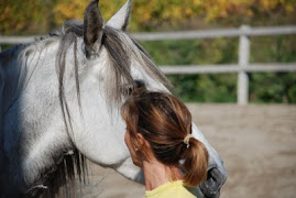 YEGUA, le cheval de ma vie