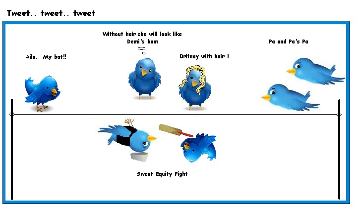 Fight between Tweeting Birds