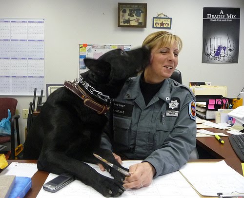 [4457138421_0b44ce3b1a.jpg]