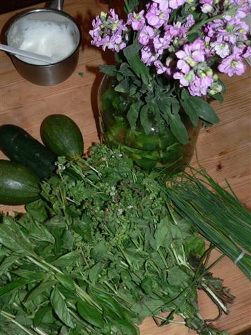 [P1120215+(Small).jpg]