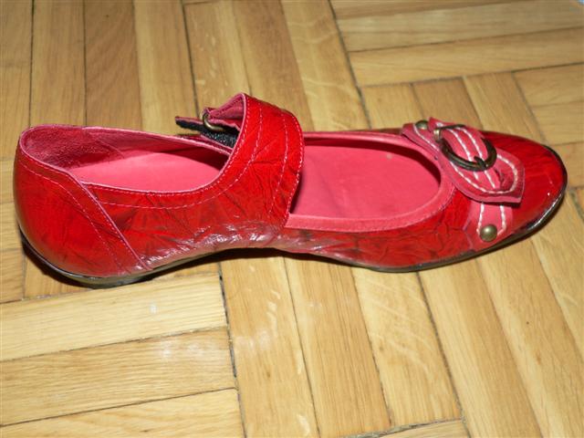 [P1130403+(Small).JPG]