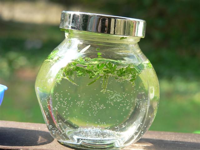 [P1130915+(Small).JPG]