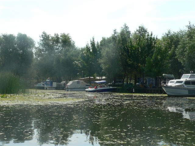 [P1150337+(Small).JPG]
