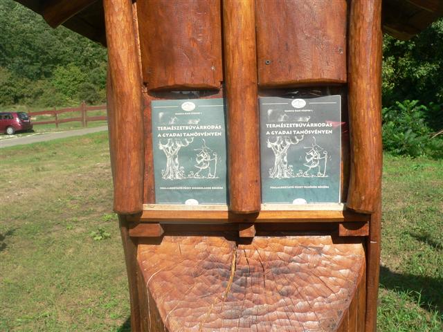 [P1150613+(Small).JPG]
