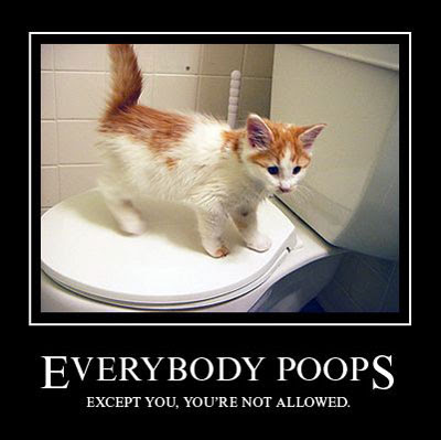 everybody-poops.jpg