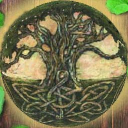 external image Arbol.jpg