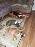 Our 3 Stooges