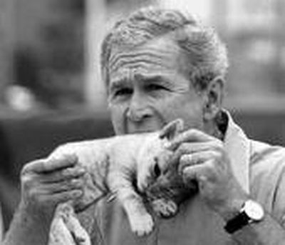 Falling George Bush