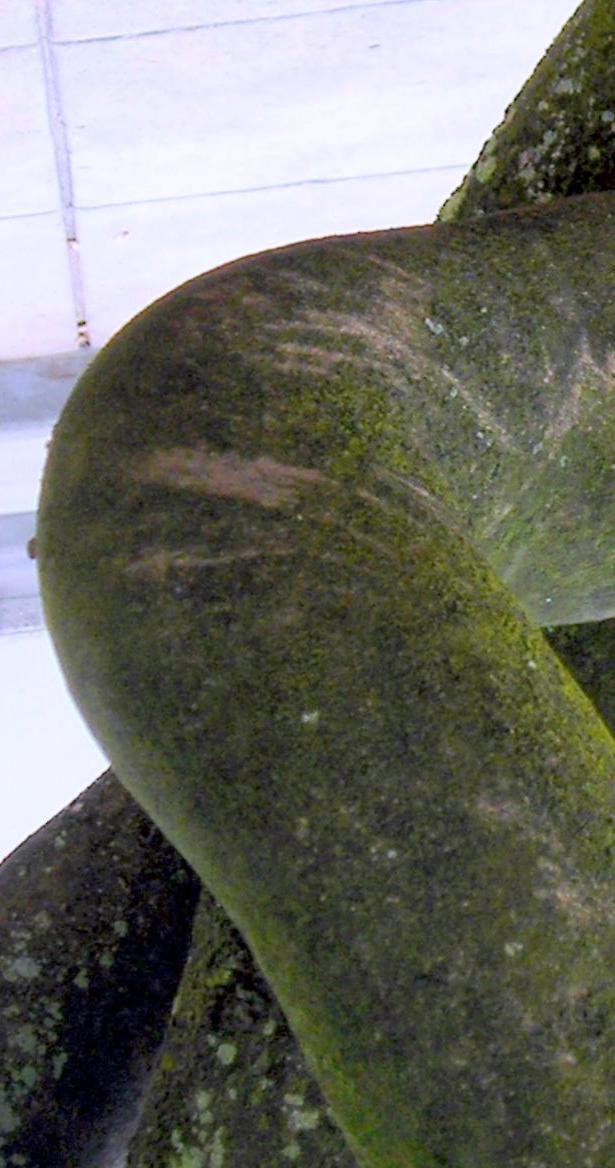 [TRONCO_DOBRADO2.jpg]