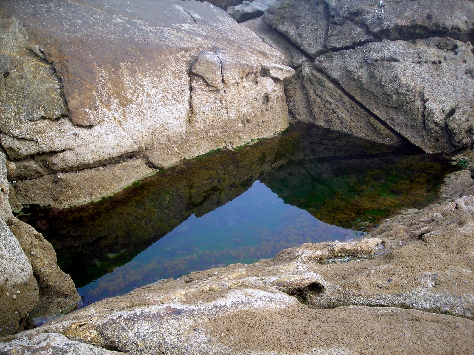 [LETRA_L_LAGUNA_ROCHAS_MONTEDOR.jpg]