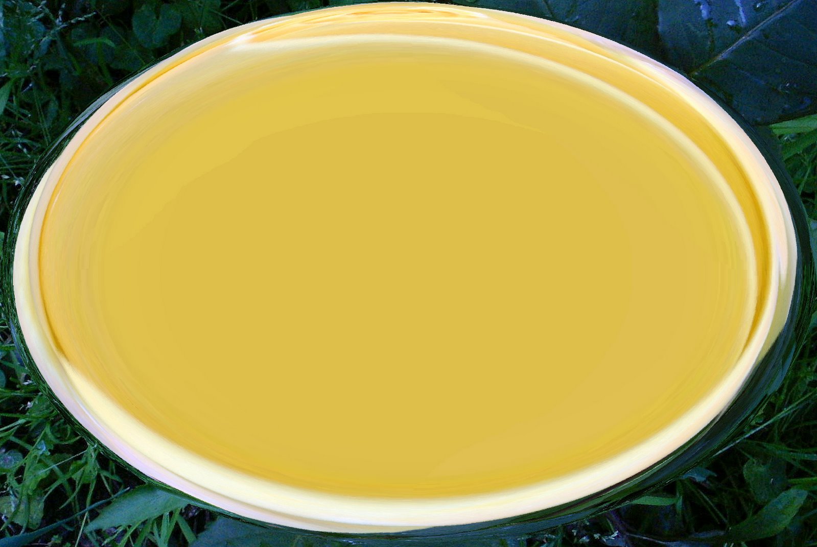 [rosa_prato_plate.JPG]