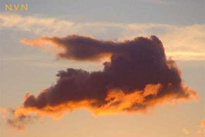 Nube en forma de conejo