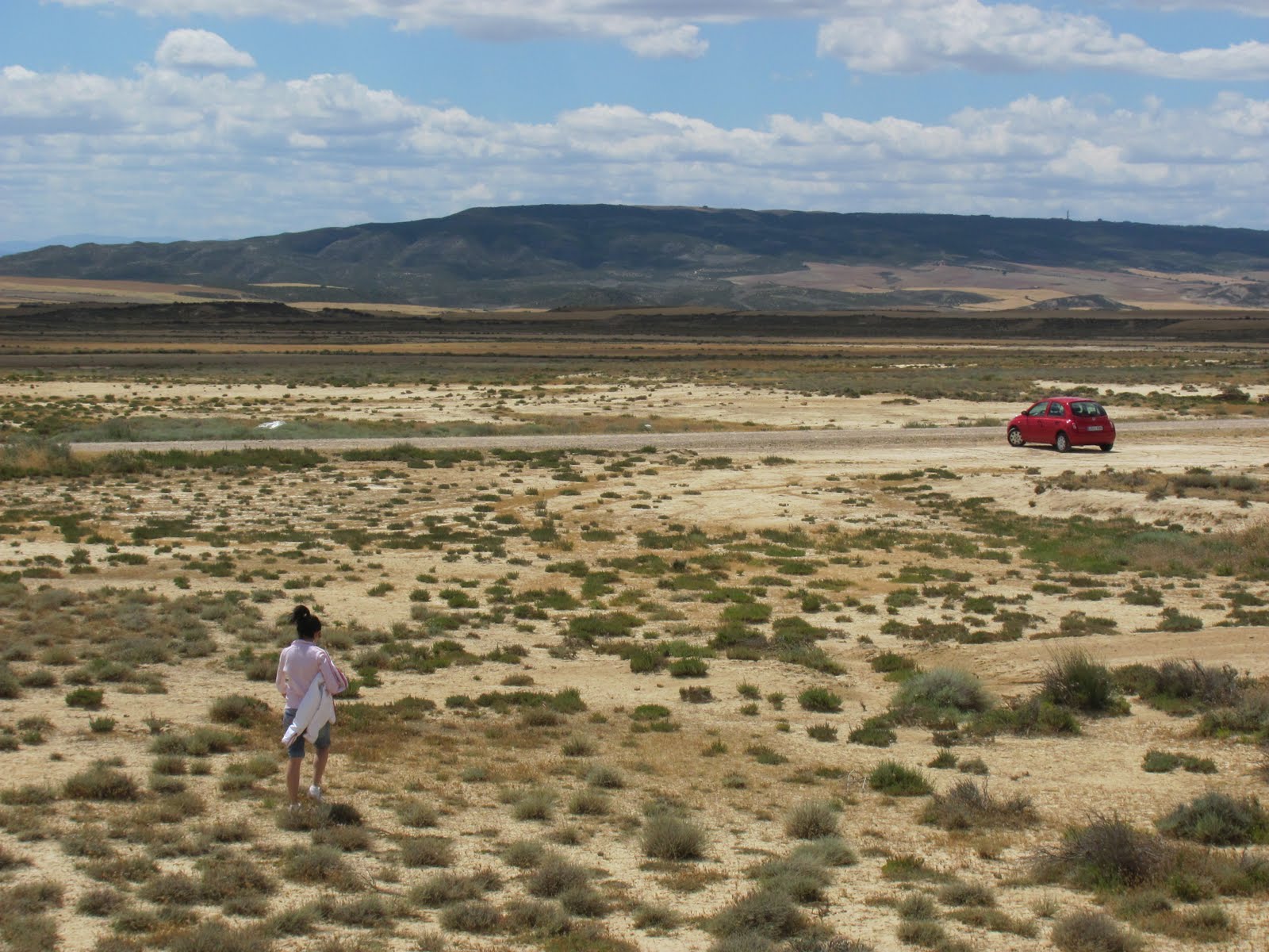 Las Bardenas Reales