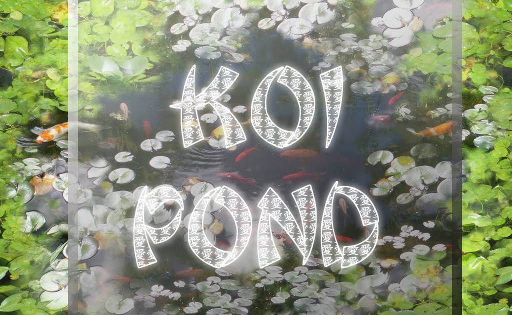 sims 4 koi pond get famous step 2