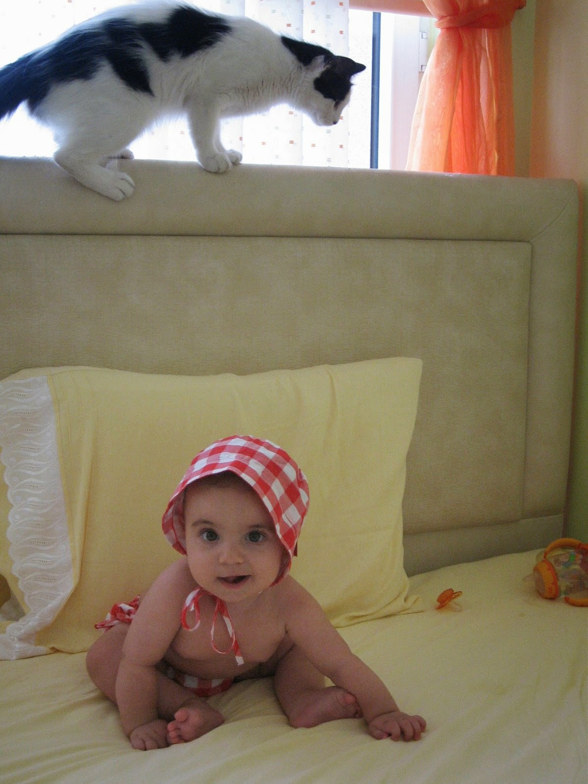 [IMG_3957.JPG]