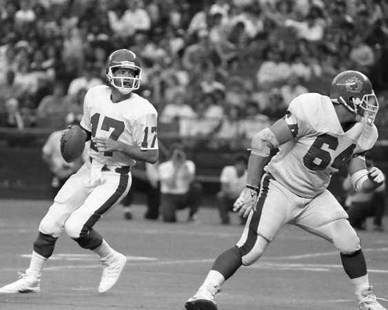 [sipe+usfl.jpg]