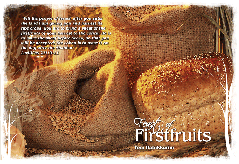 God's Living Promises: Feast of the First Fruits God's Living Promises: Feast of the First Fruits