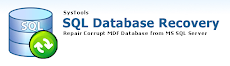 SQL Database Repair