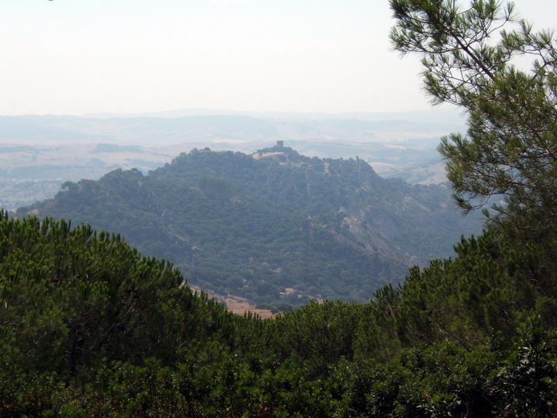 [Vistas+desde+la+pista+forestal+3.jpg]