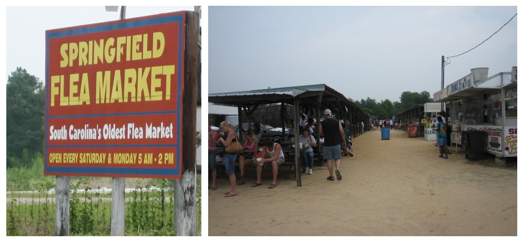 [springfieldflea.bmp]