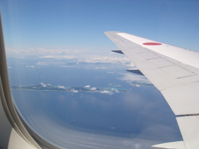 アットウィキロゴ